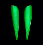 Green Morning Glory UV 8 hour glo